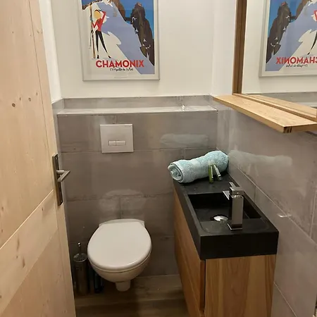 Les Fees : 150 M² Hypercentre Calme 10p Шамоні