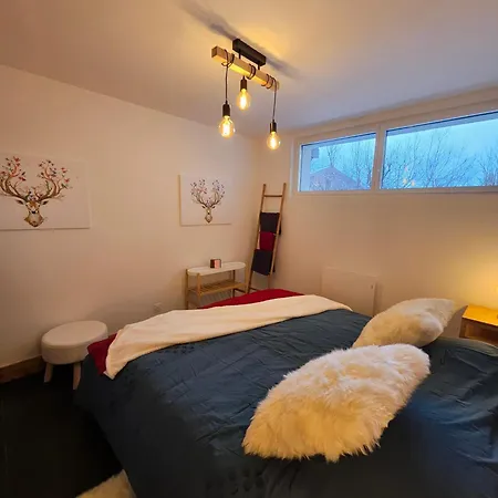 Les Fees : 150 M² Hypercentre Calme 10p * Шамоні