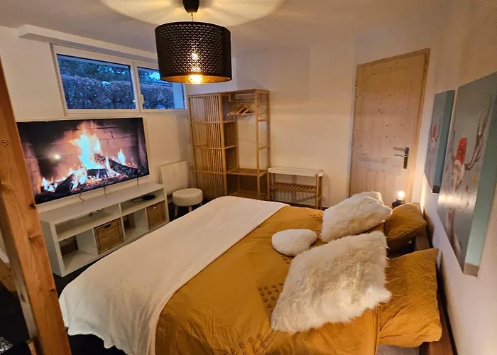 Les Fees : 150 M² Hypercentre Calme 10p Apartment *